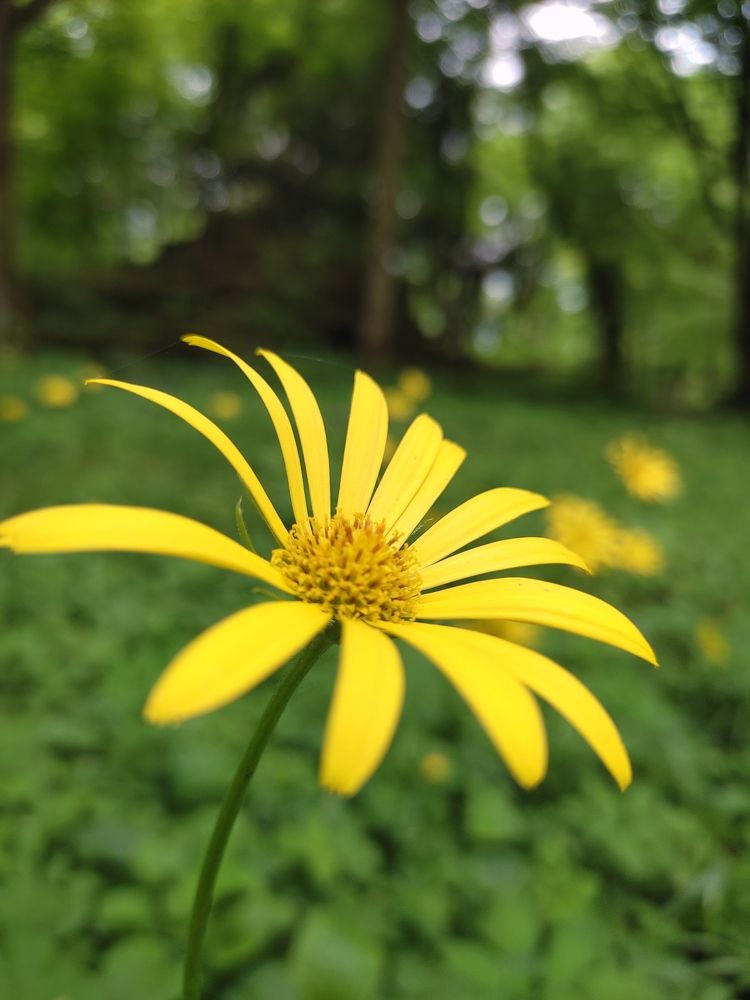 Photograph by Лолита Биттирова