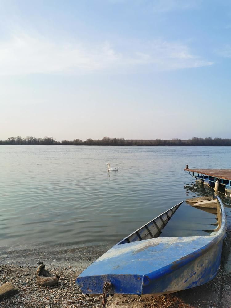 Photograph by Max Samadhi