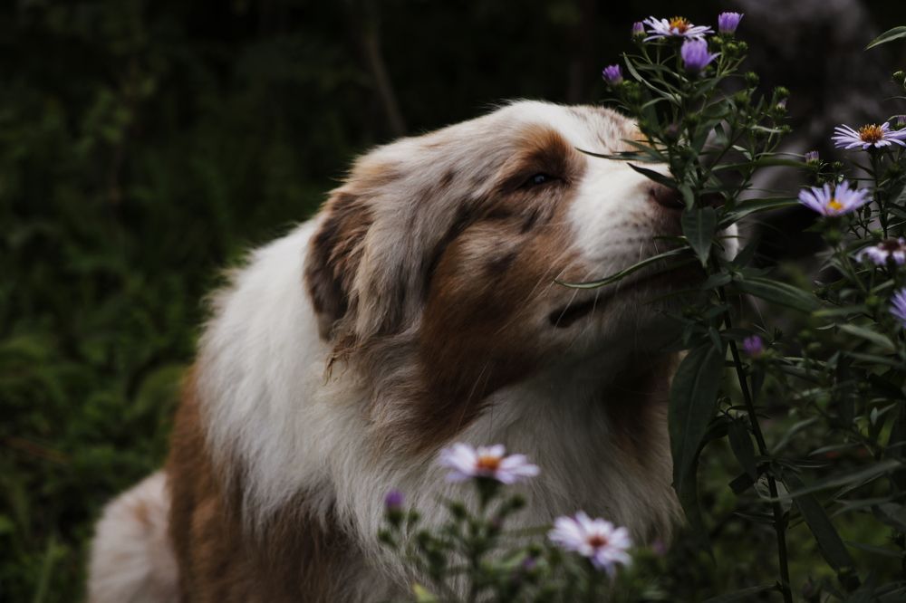 Photograph by Виктория Марьинских