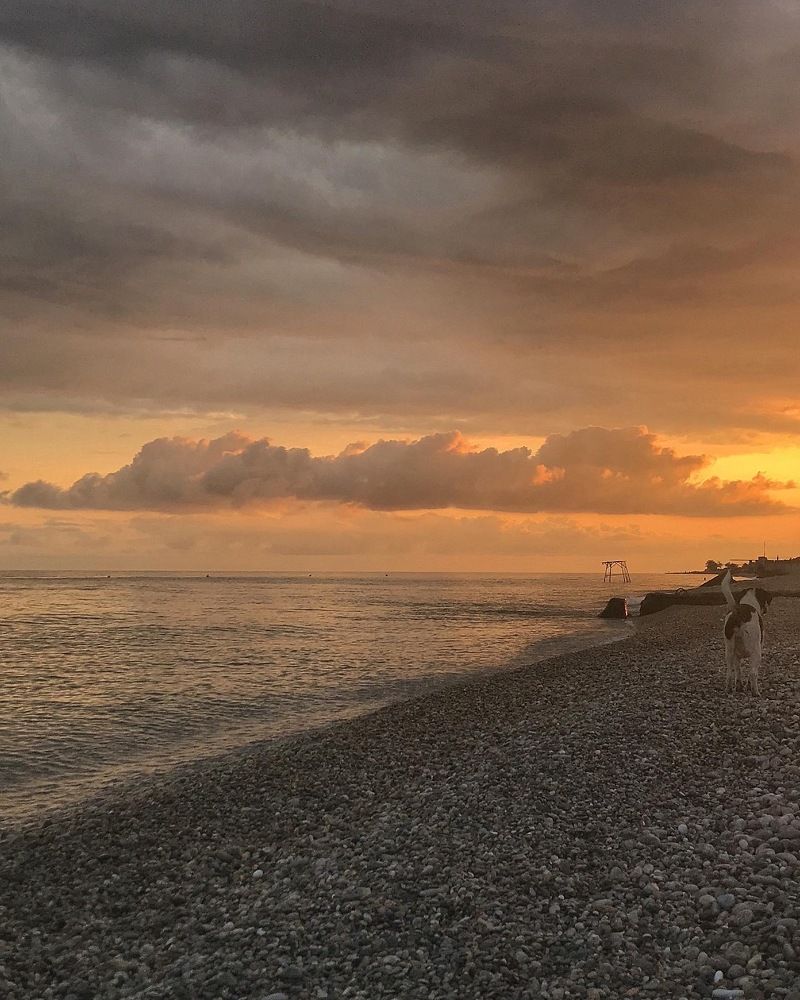 Золотой закат