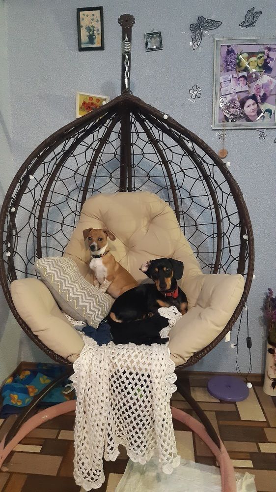 Photograph by Аліса Чарівна