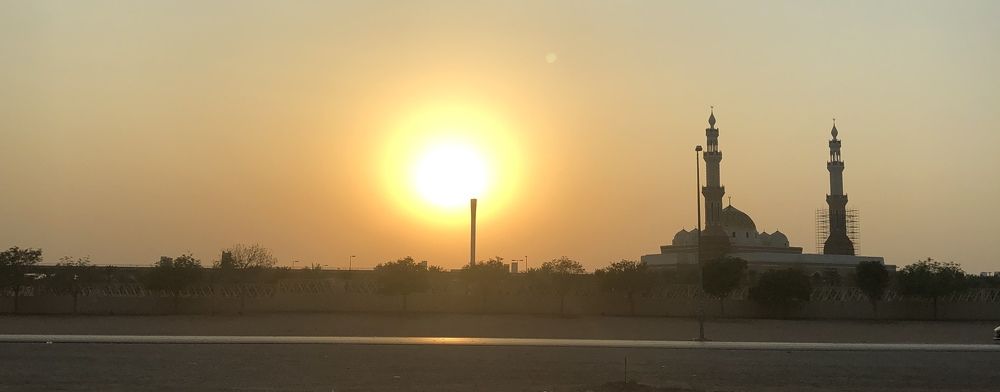 Photograph by Alvin Cells