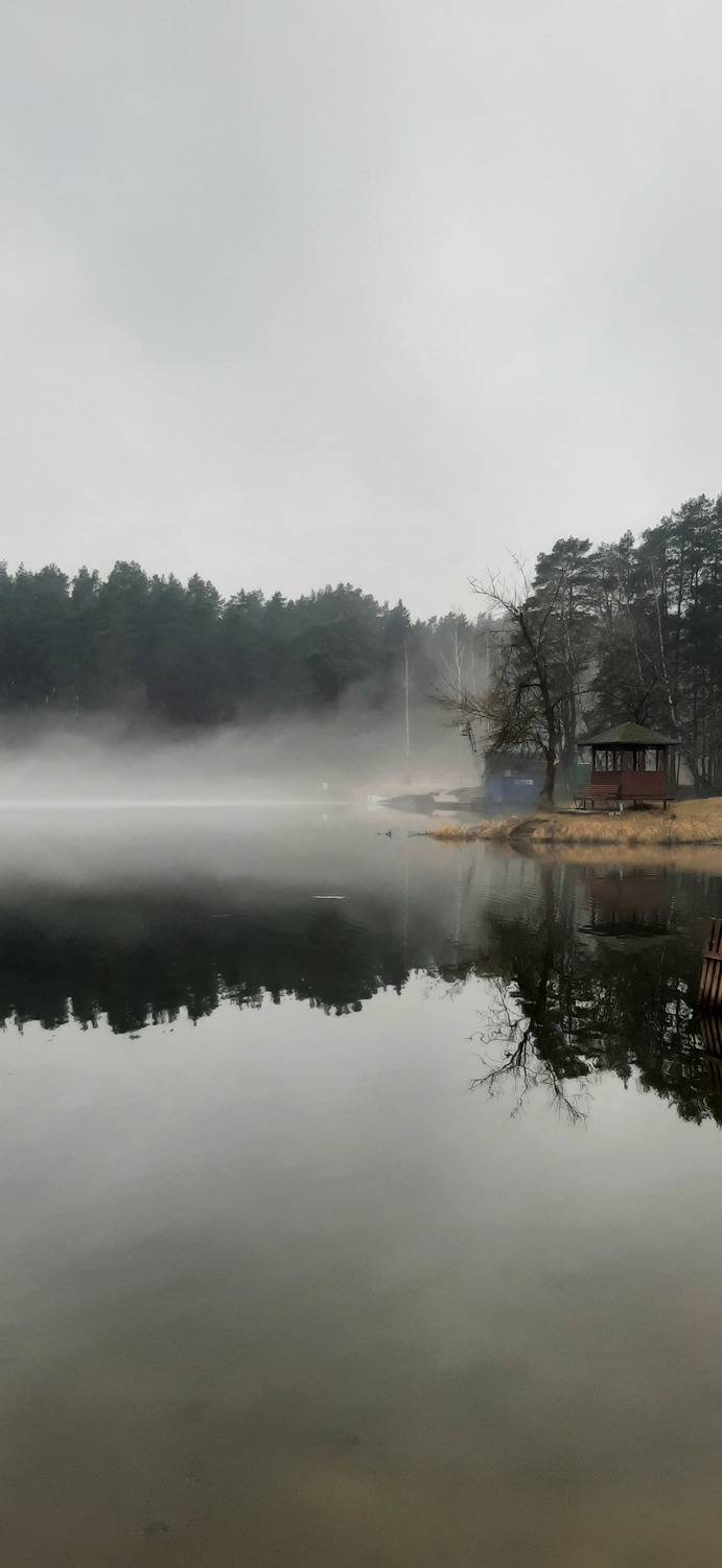 Photo #7616504