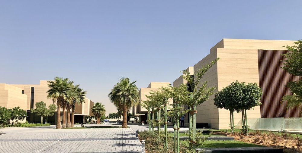 Photograph by Alvin Cells