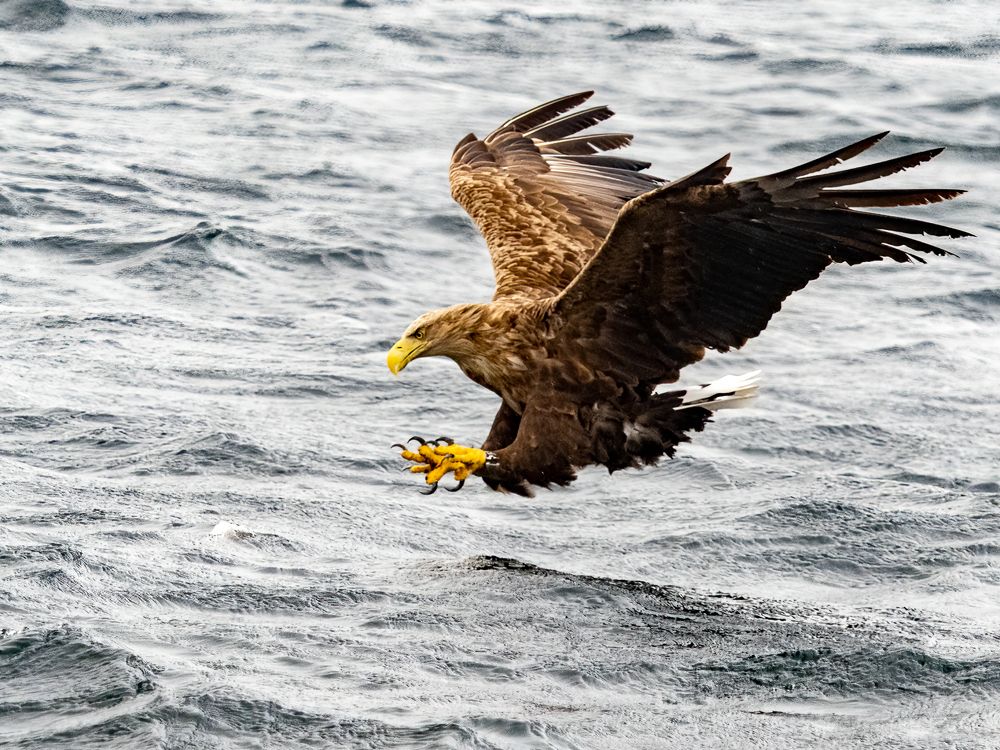 Photograph by Jesse René Cason