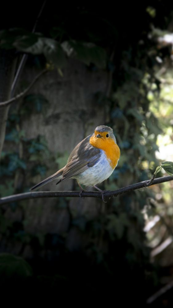 Фотография автора Sadegh Amiri Hanzaki
