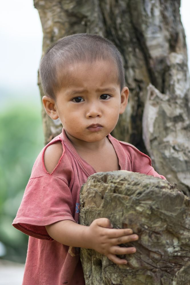 Photograph by Dipayan Debbarma