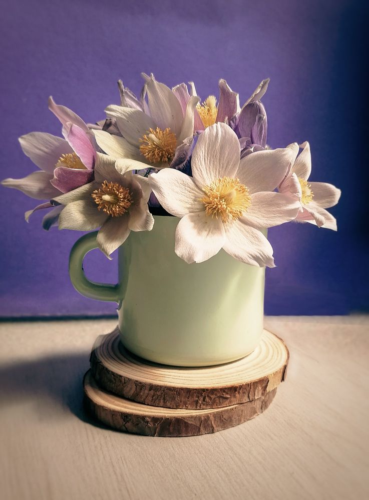 Photograph by Светлана Шелухеева