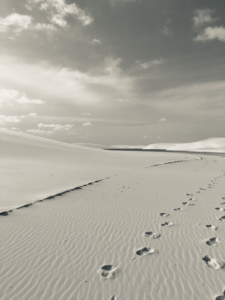 Photograph by Elena LEE