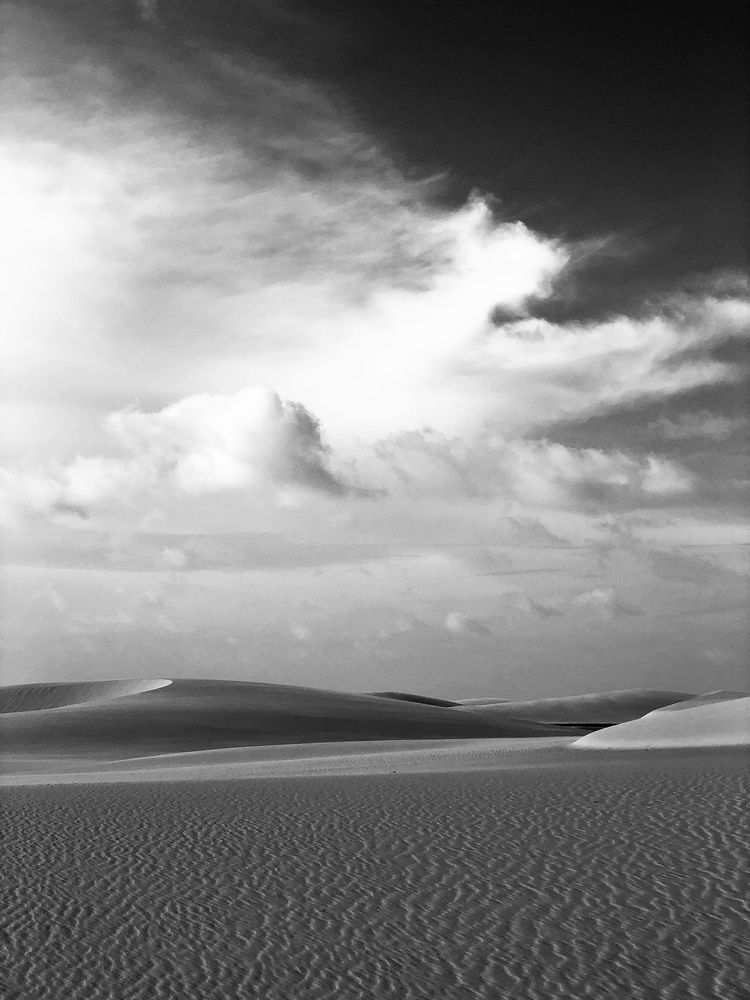 Photograph by Elena LEE