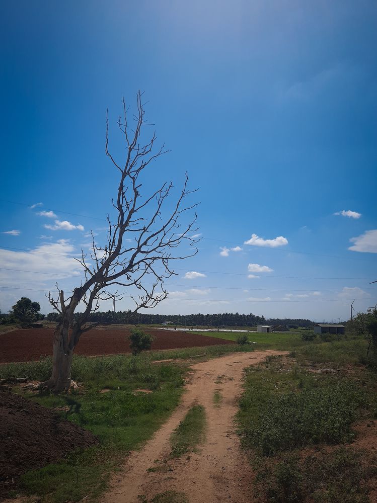 Photograph by PRABANJAN KARUPPUSAMY