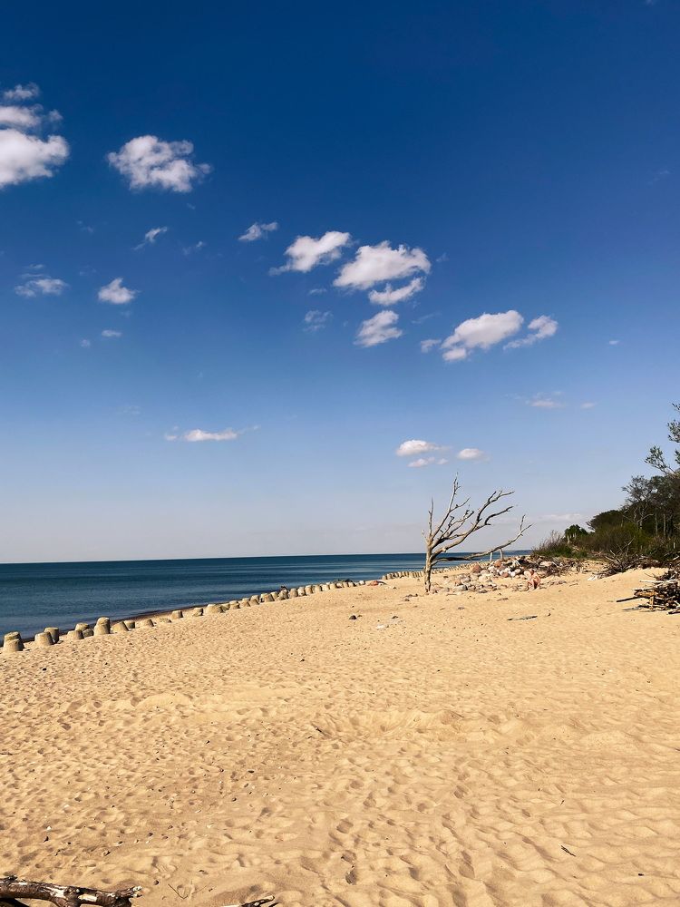 Photograph by Михаил Мартынов