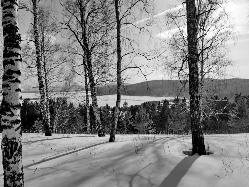 Photograph by Margarita Malikova