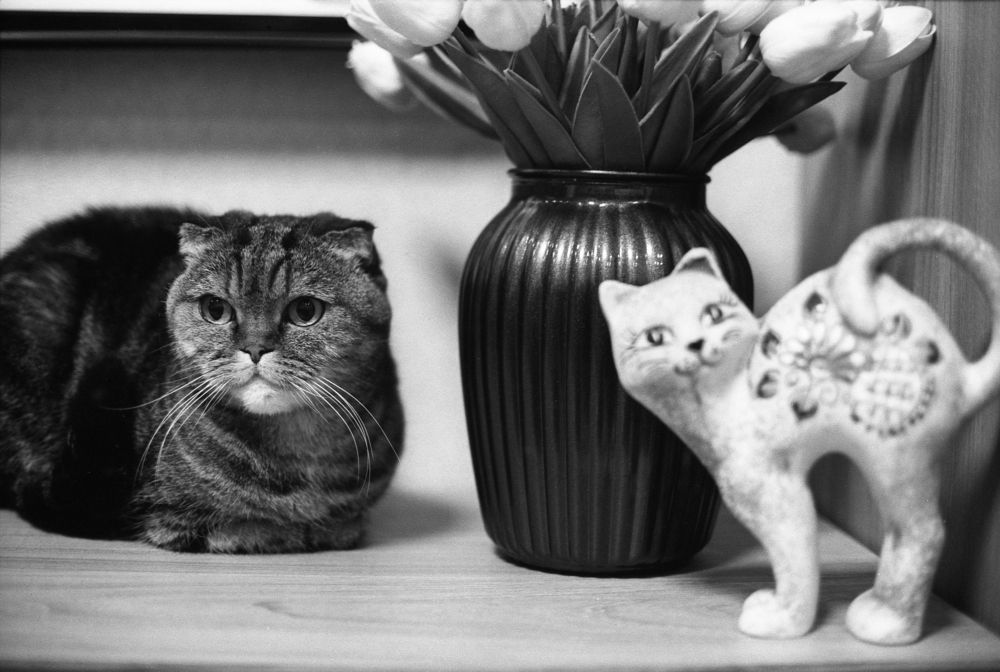 Photograph by Максим Покидышев