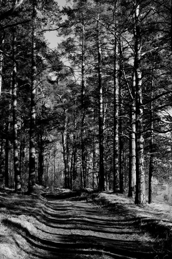 Photograph by Maria Fedorova