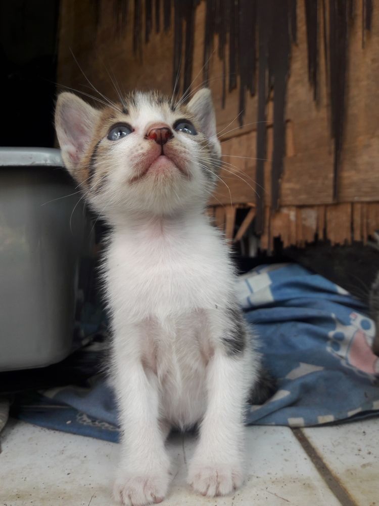 Photograph by sandyani se