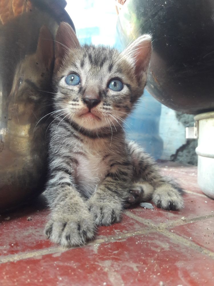 Photograph by sandyani se