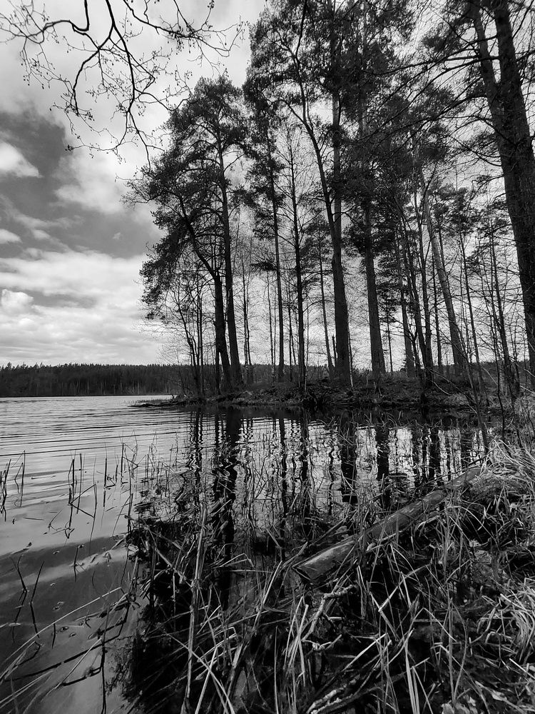 Photograph by Maria Fedorova