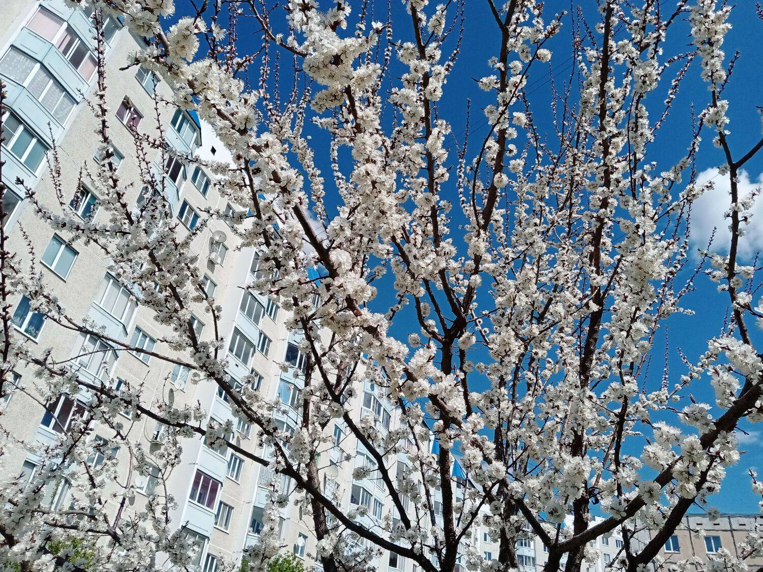 Photo #7616748