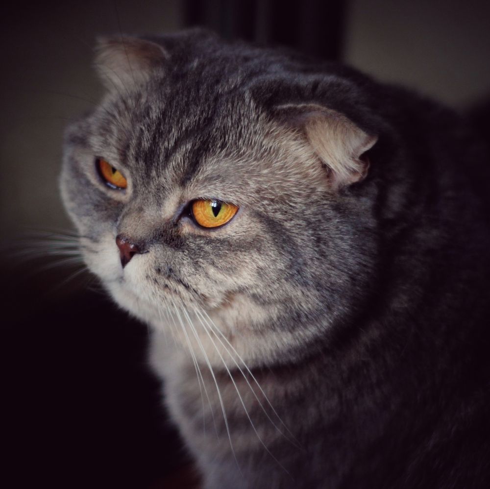 Photograph by Татьяна Абрамова