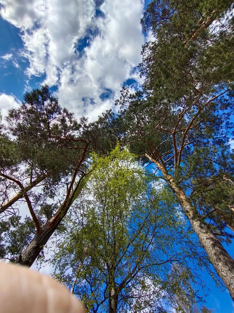 Photograph by Maria Fedorova