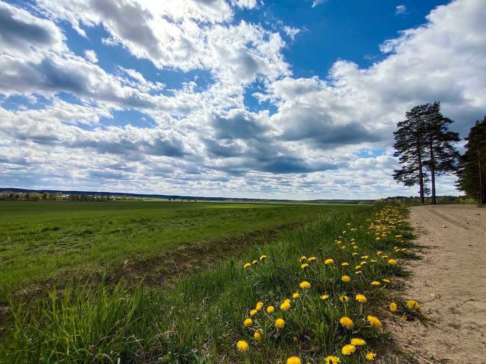 Photograph by Maria Fedorova