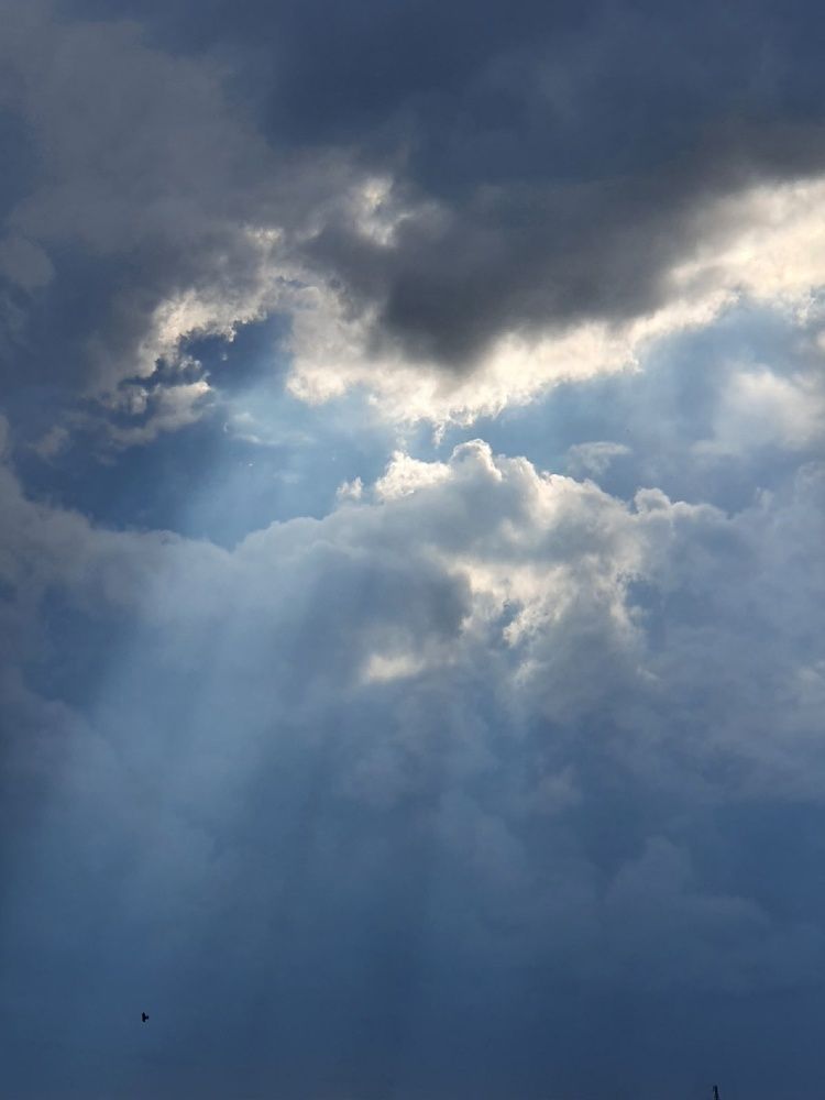 Photograph by Дарья Муллина