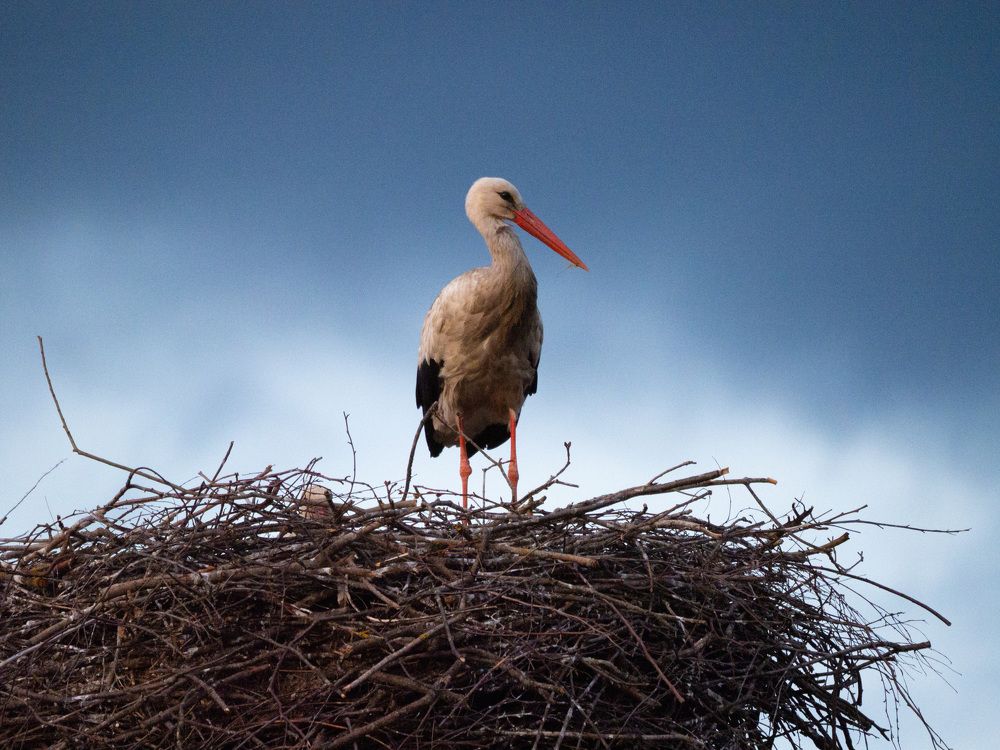 Photograph by Леонид Самойлов