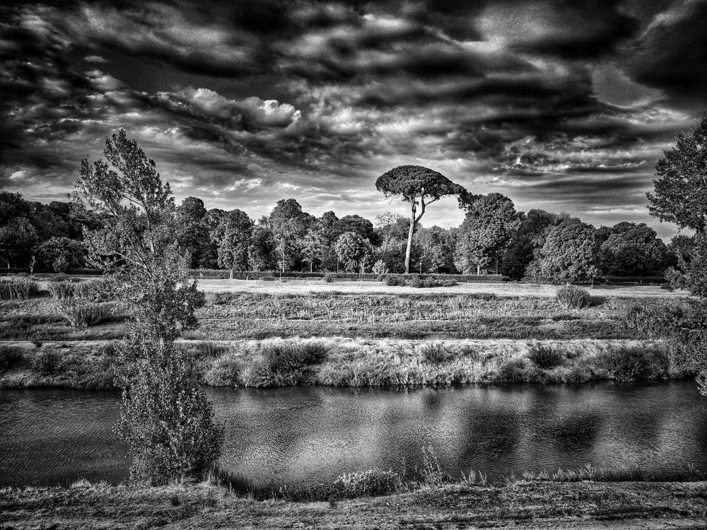 Photograph by Pedro Valcarcel Rubio