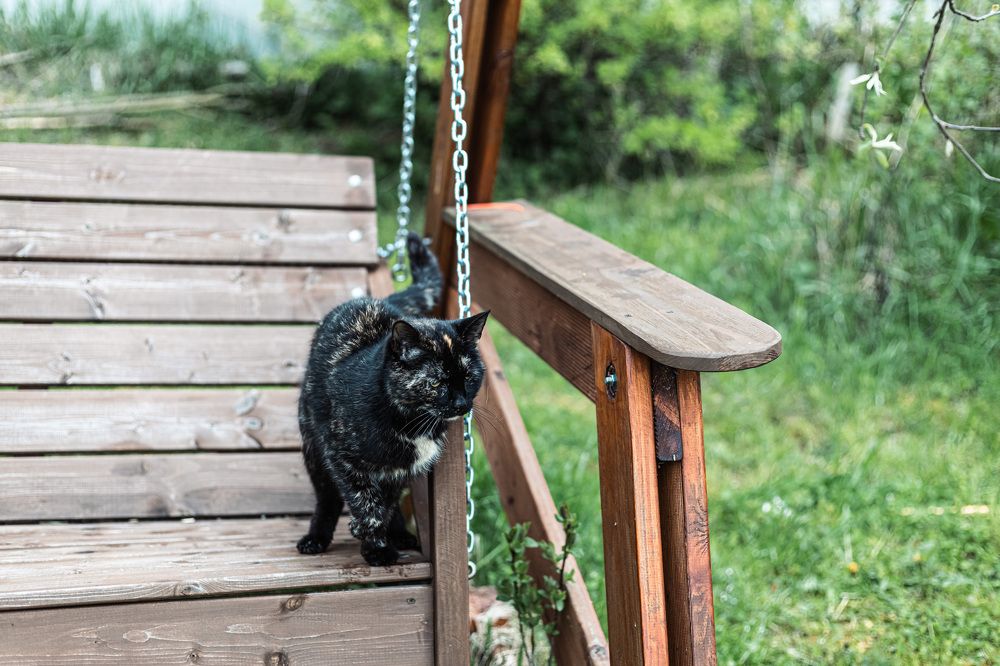 Photograph by Maria Fedorova