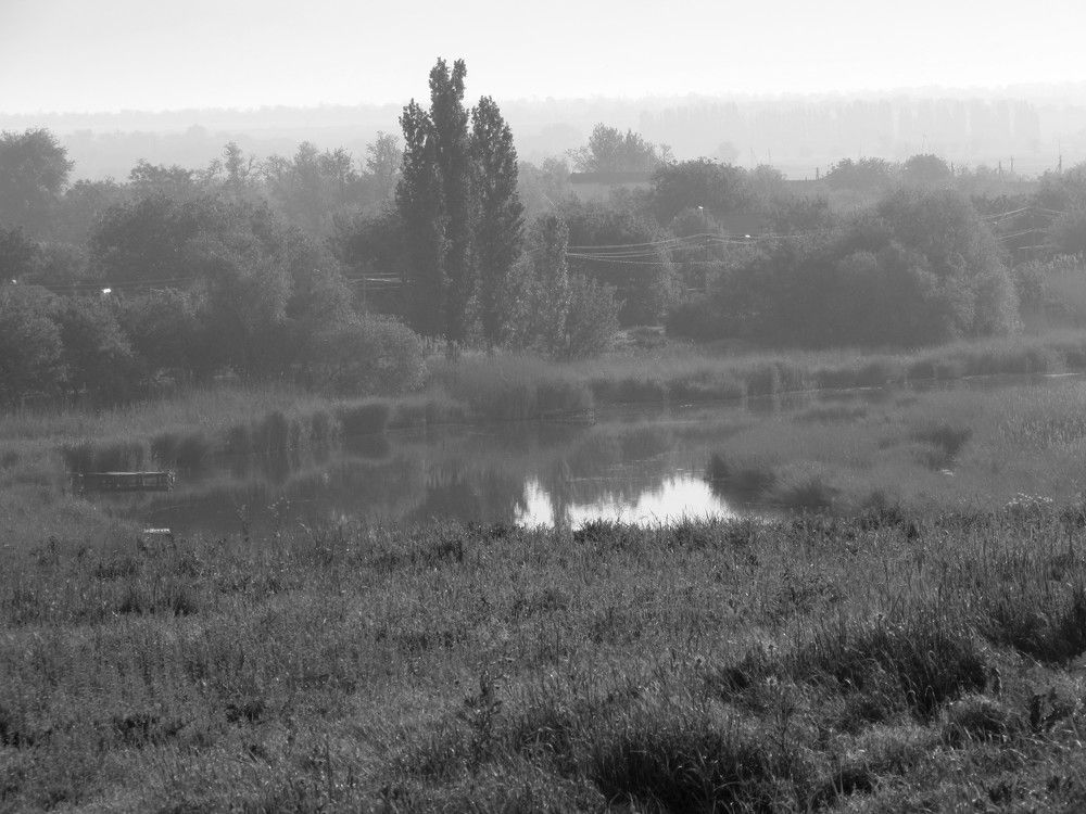 Photograph by Елена Кузнецова