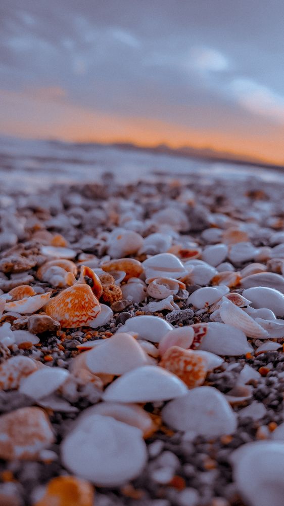 Фотография автора DAVIDJHON Gusi