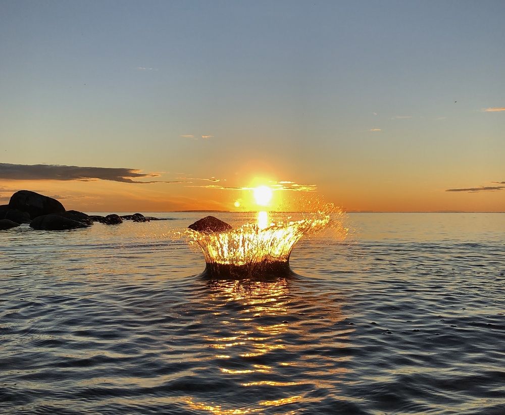 Photograph by Елена Шведова