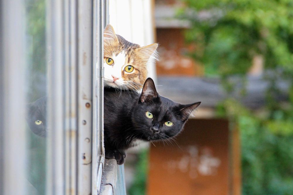 Photograph by Ильдар Гарифуллин