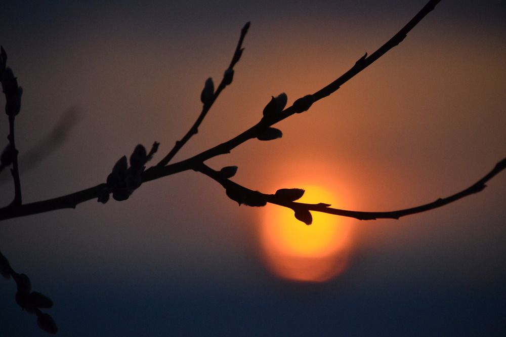 Photograph by Елена Шведова
