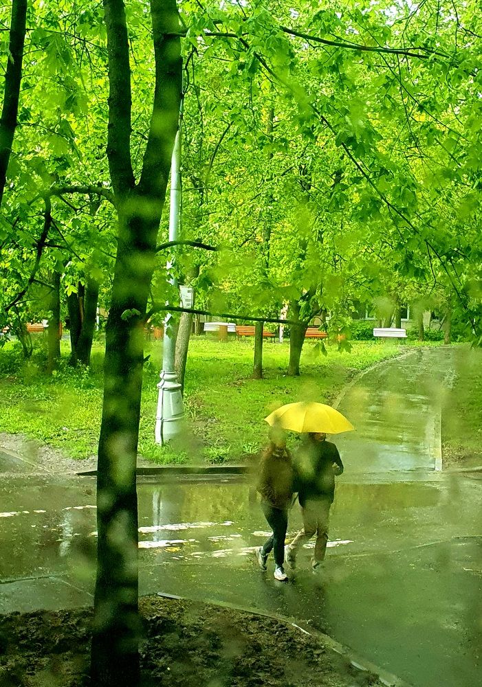 Photograph by Ева К.