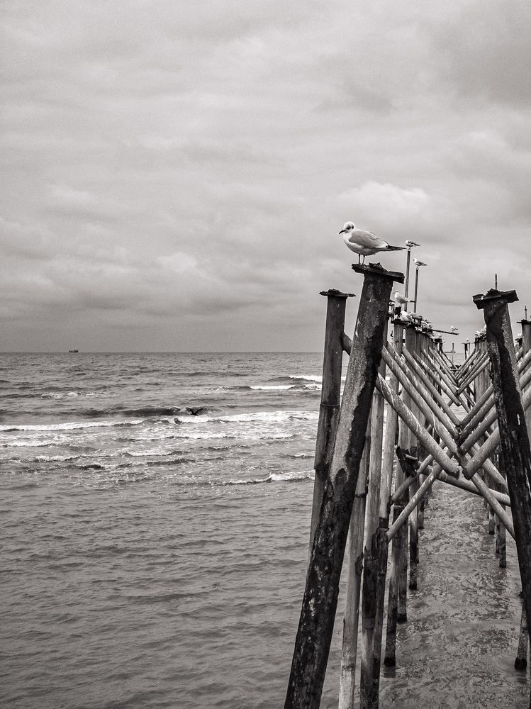 Photograph by Mohammad Mazareiy