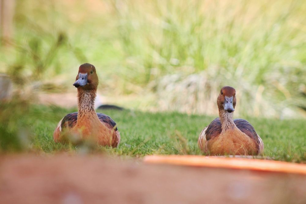 Photograph by Farah Khan