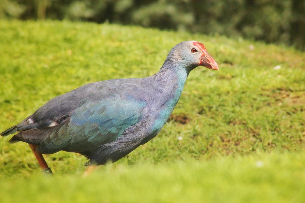 Photograph by Farah Khan