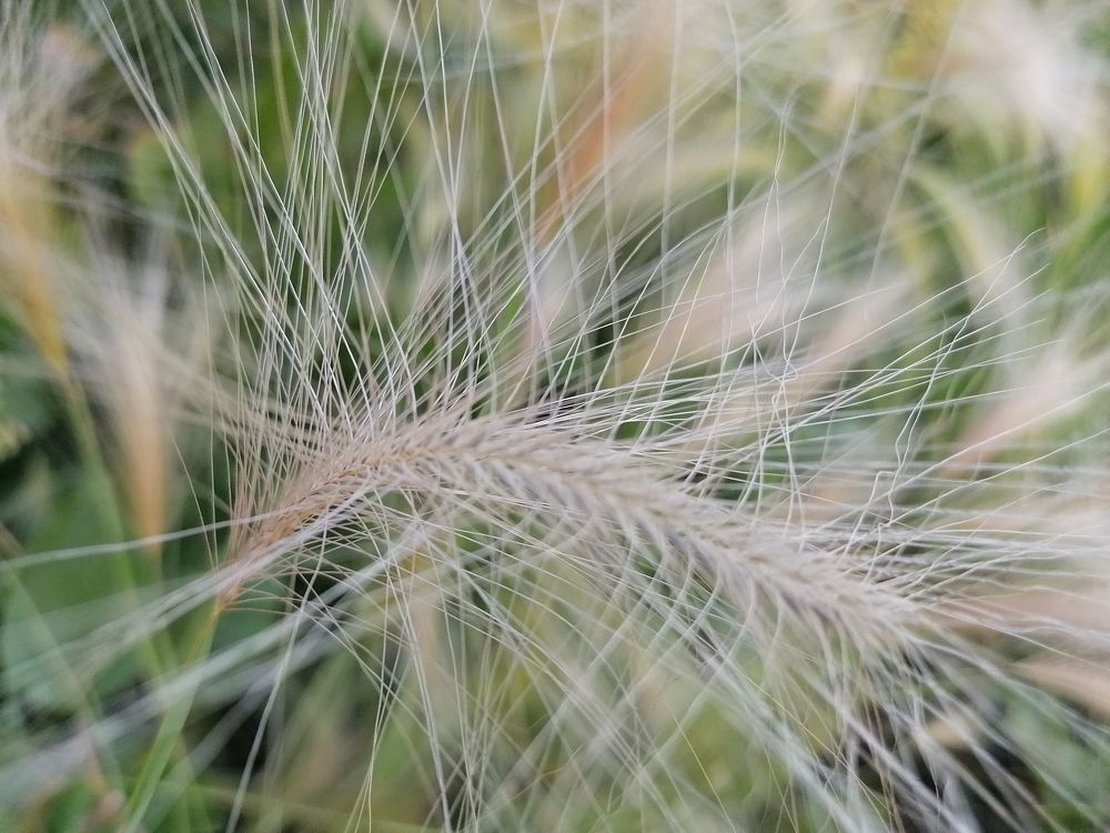 Photograph by Марина Шамова
