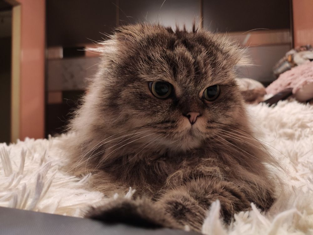 Photograph by Алексей Ларин