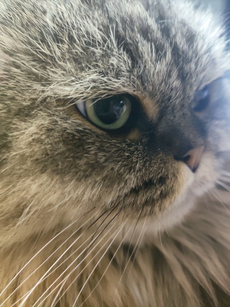 Photograph by Алексей Ларин