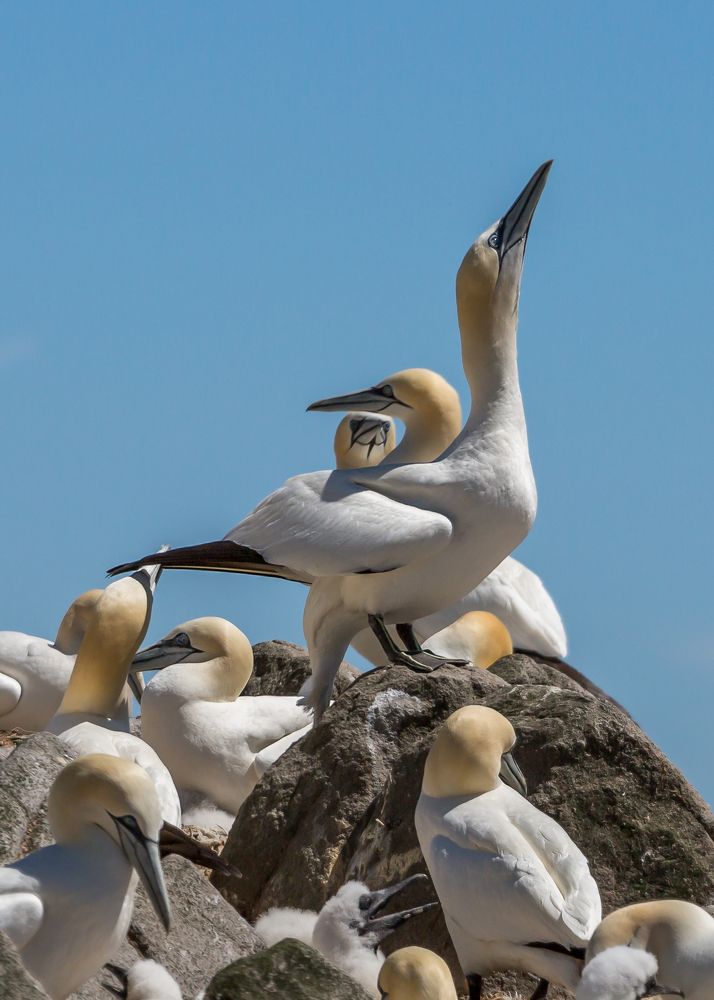 Photograph by Anatoly Chomko