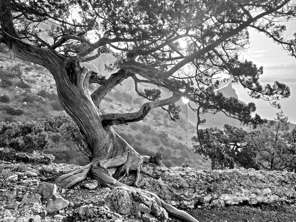 Photograph by Кухта Мария