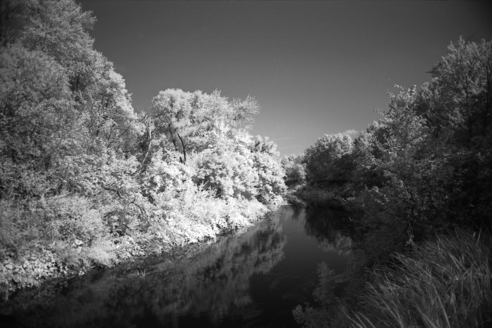 Photograph by Максим Покидышев
