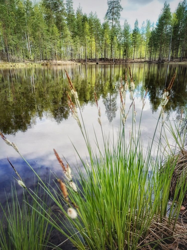 Photograph by Сергей Забиякин