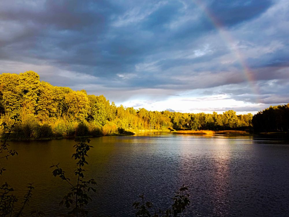 Photograph by DARIA DEMINA