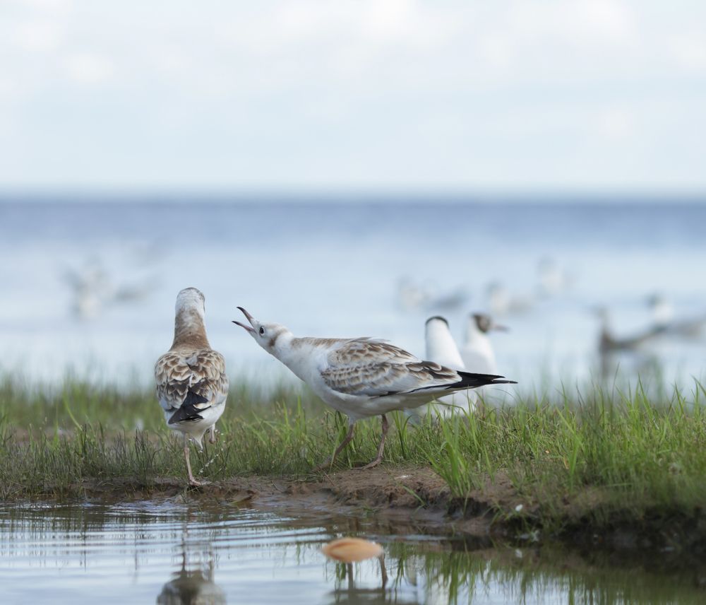 Photograph by Владислав Миронов