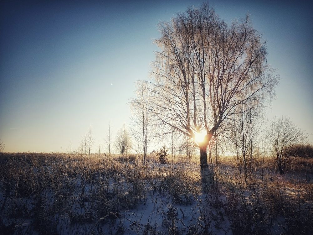 Photograph by Сергей Забиякин