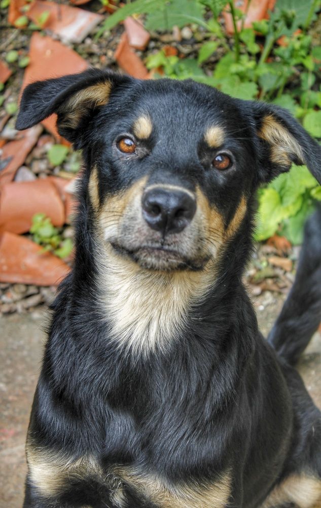 Photograph by Colmenarez nileydi